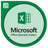 MicrosoftExpert100x100 (1) Excel Expert